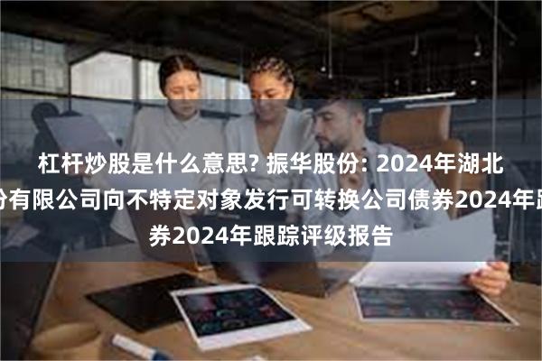 杠杆炒股是什么意思? 振华股份: 2024年湖北振华化学股份有限公司向不特定对象发行可转换公司债券2024年跟踪评级报告