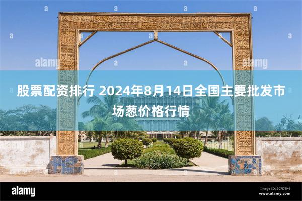 股票配资排行 2024年8月14日全国主要批发市场葱价格行情